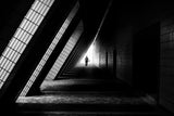 light and shadow Poster och Canvastavla