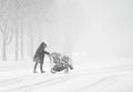 Walking In a Winter Storm Poster och Canvastavla
