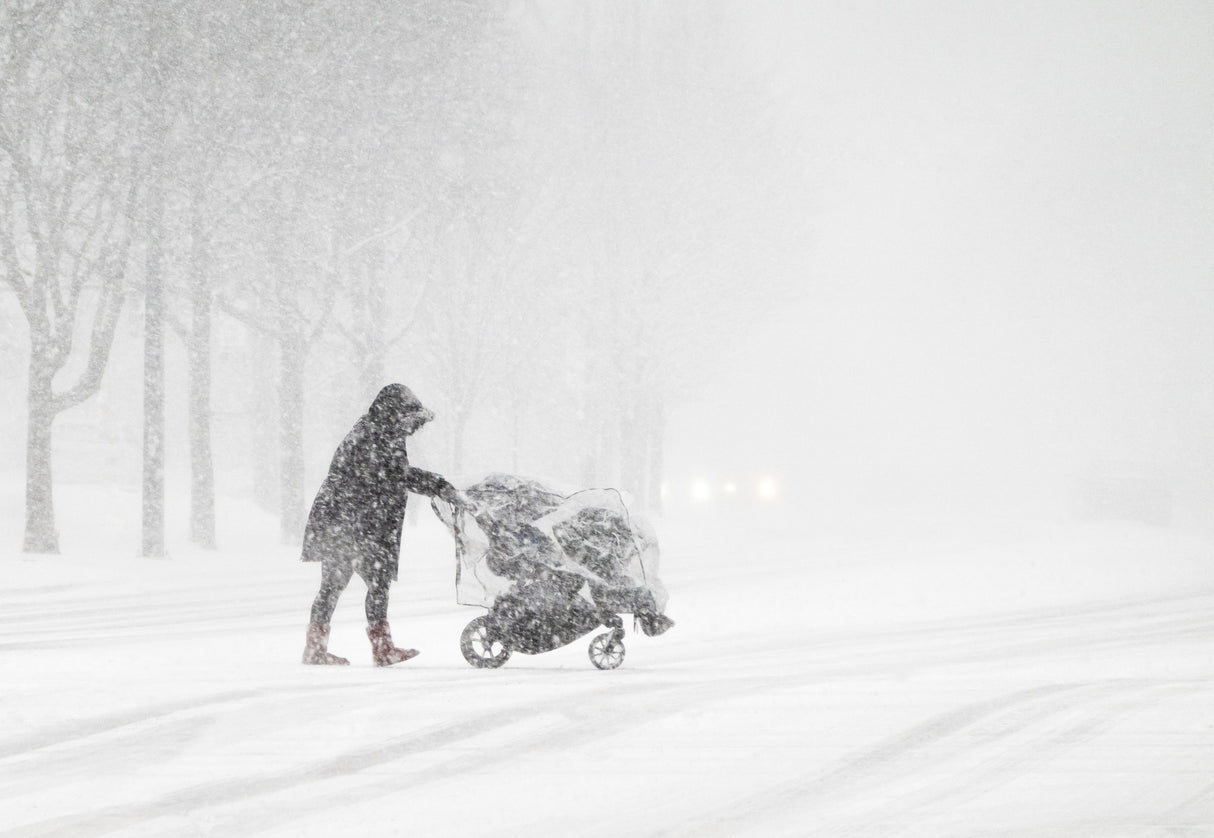 Walking In a Winter Storm Poster och Canvastavla