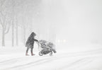 Walking In a Winter Storm Poster och Canvastavla