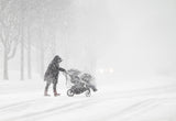 Walking In a Winter Storm Poster och Canvastavla