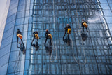 Acrobatic cleaners Poster och Canvastavla
