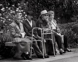 Old Age Poster och Canvastavla