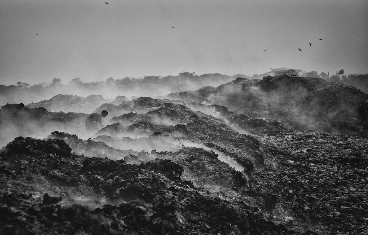 Polluted Life Poster och Canvastavla
