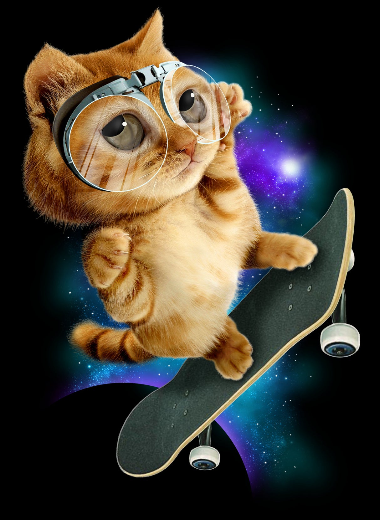 cat on skateboard Poster och Canvastavla