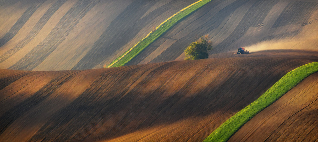 Moravian Tuscany Poster och Canvastavla