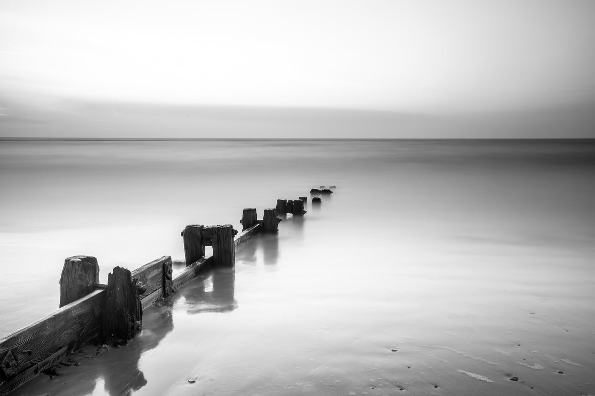 Alnmouth Poster och Canvastavla