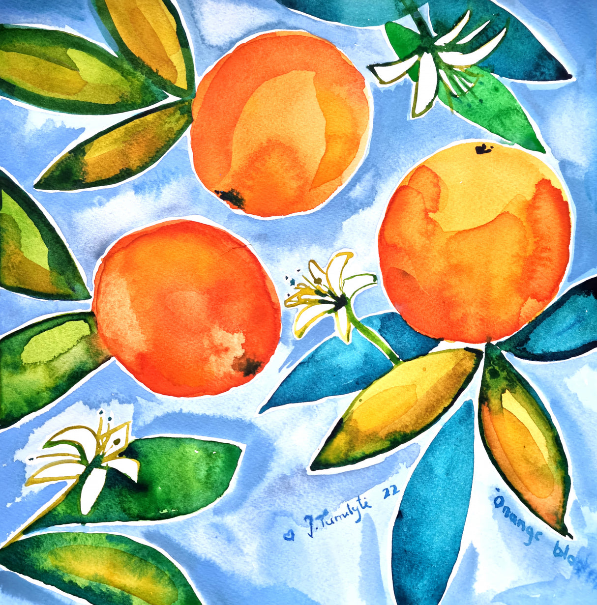 Oranges Blooming Poster och Canvastavla