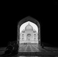Taj Mahal Poster och Canvastavla