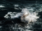 The boat in the tempest Poster och Canvastavla