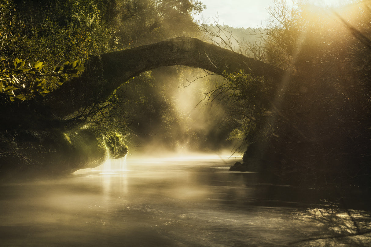 Enter Fairy World Poster och Canvastavla
