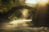 Enter Fairy World Poster och Canvastavla