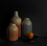 Bottles and an apple Poster och Canvastavla