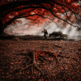 Ancient Autumn ... Poster och Canvastavla