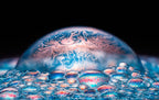 Alien Concert Poster och Canvastavla