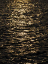 sea waves at sunset Poster och Canvastavla