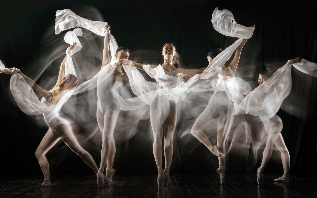 Ballerina Story Poster och Canvastavla