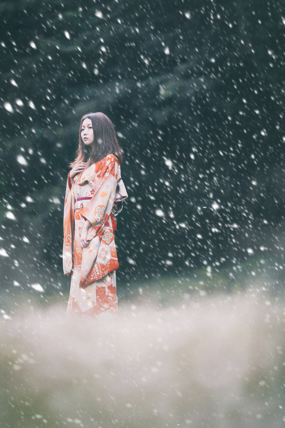 Princess in the Snow Poster och Canvastavla
