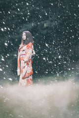 Princess in the Snow Poster och Canvastavla