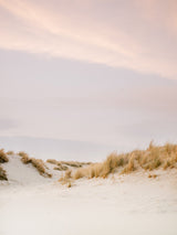 Ameland Dunes 3 Poster och Canvastavla
