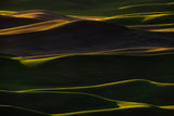 Sunset Light Poster och Canvastavla