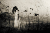 Cutting its way through my dreams like a knife... Poster och Canvastavla