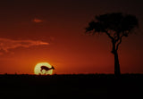 mara sunrise Poster och Canvastavla