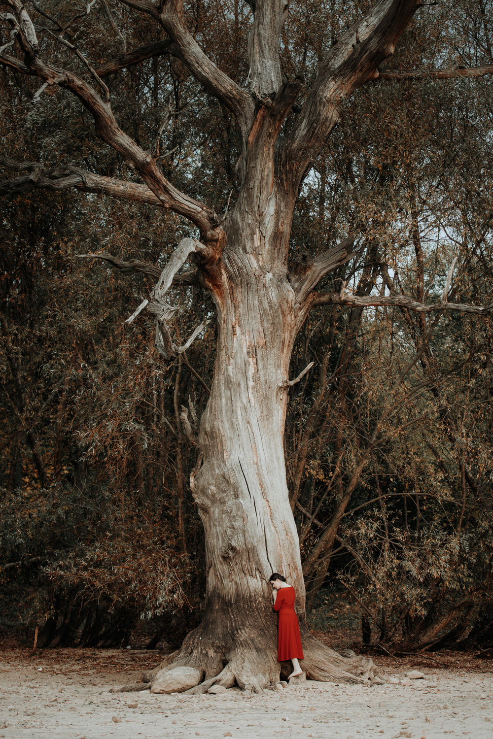 girl in a red dress Poster och Canvastavla