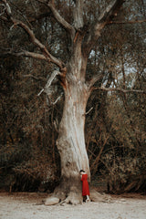 girl in a red dress Poster och Canvastavla