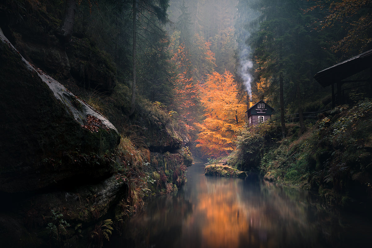 Autumn Valley Poster och Canvastavla