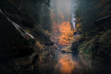 Autumn Valley Poster och Canvastavla
