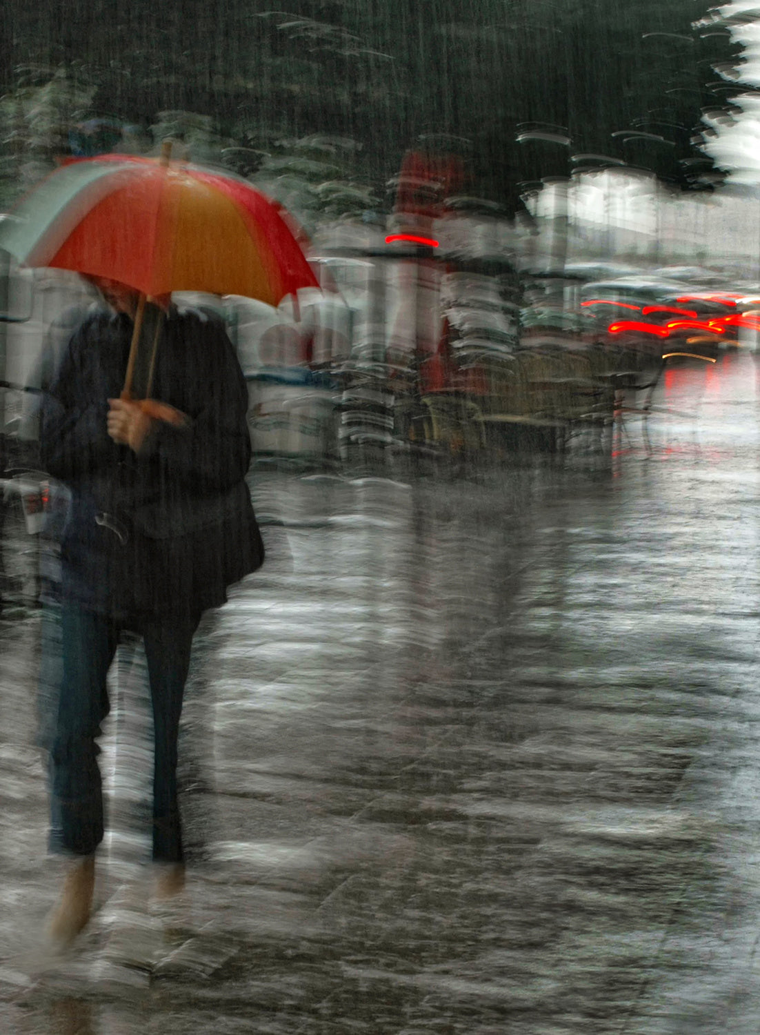 It's raining cats and dogs Poster och Canvastavla