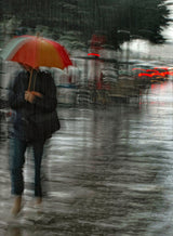 It's raining cats and dogs Poster och Canvastavla