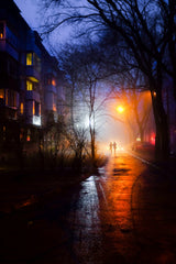 through foggy yards Poster och Canvastavla