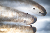 Sky trails Poster och Canvastavla