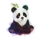 Baby Panda Poster och Canvastavla