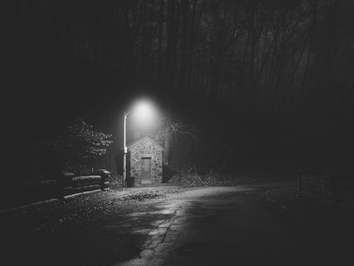 quarter in the fog Poster och Canvastavla