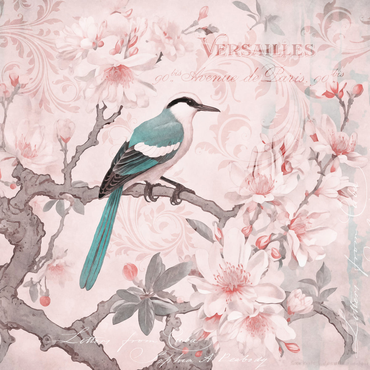 Pastel Pink Springbird Poster och Canvastavla