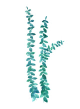 Watercolor eucalyptus branches in teal Poster och Canvastavla