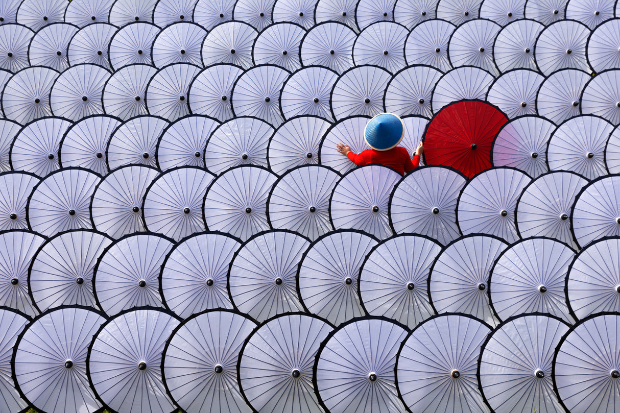 Dare to be different Poster och Canvastavla