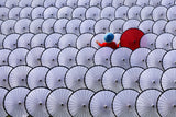 Dare to be different Poster och Canvastavla
