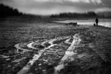 After the rain has gone Poster och Canvastavla