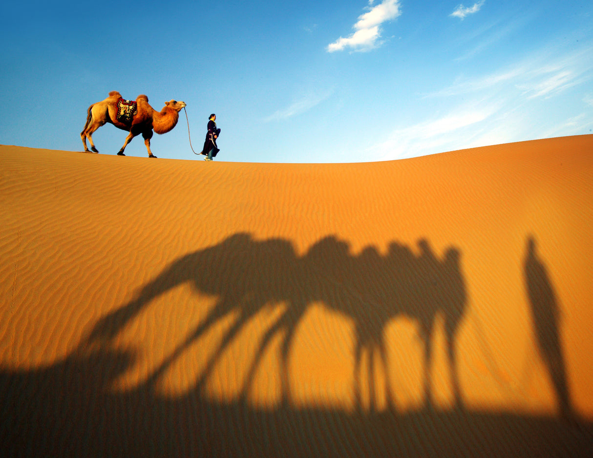 Sun and Shadow Poster och Canvastavla