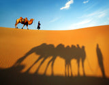 Sun and Shadow Poster och Canvastavla