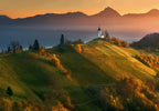 Autumn light... Poster och Canvastavla