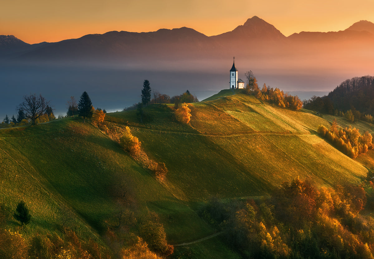 Autumn light... Poster och Canvastavla