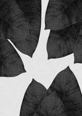 Banana Leaf Black & White I Poster och Canvastavla