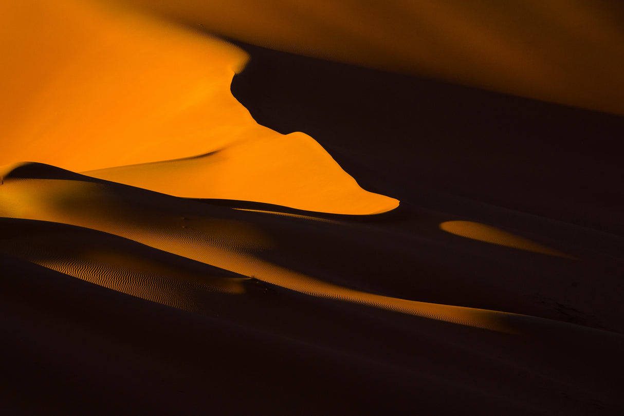 Golden Sand Poster och Canvastavla