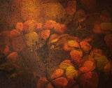 The joy of flowers . Poster och Canvastavla