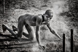 Collecting dung in a mundari cattle camp-II Poster och Canvastavla